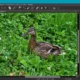 Aktivatsiya Nikon Capture Nx D 1.4.7.webp