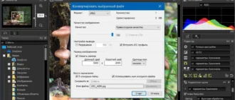Aktivatsiya Nikon Capture Nx D 1.6.5.webp