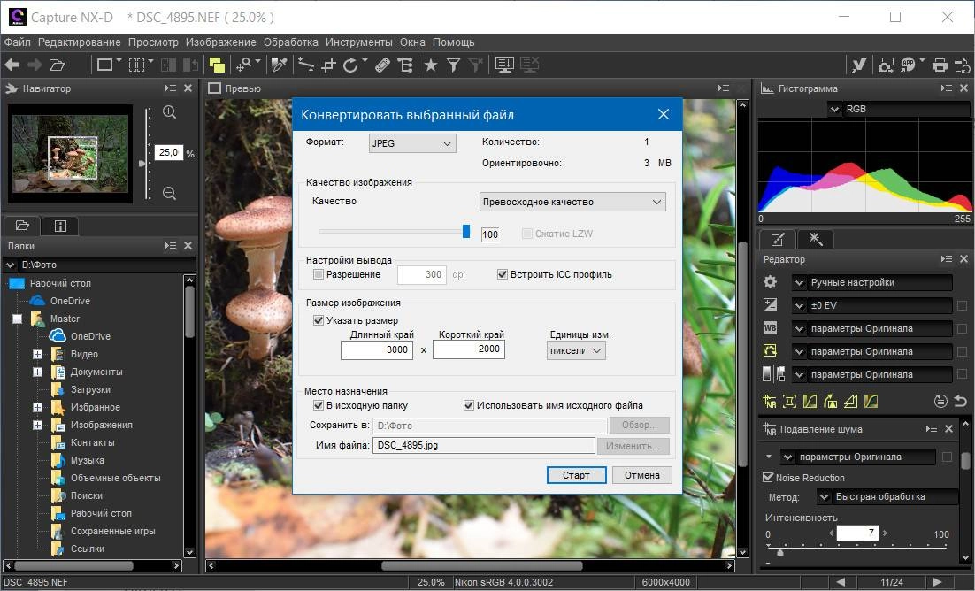 Aktivatsiya Nikon Capture Nx D 1.6.5.webp
