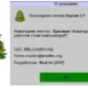 Aktivatsiya Novogodnyaya Elochka Christmas Tree 2.1 Rs Russkii.webp