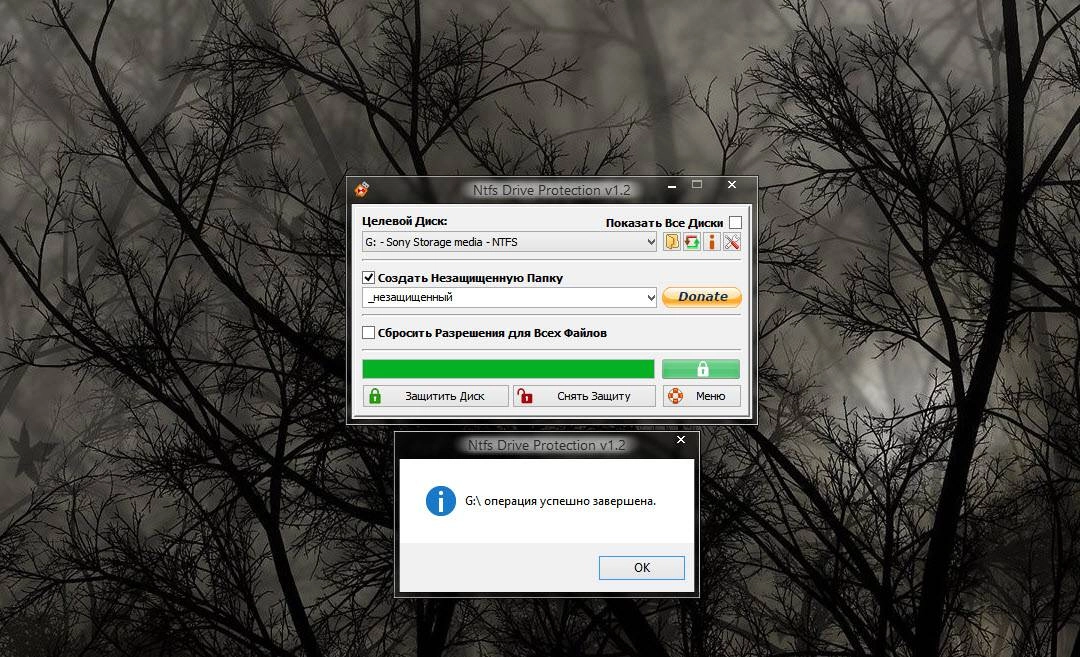 Aktivatsiya Ntfs Drive Protection 1.2 Portable.webp