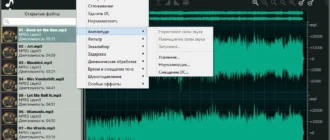 Aktivatsiya Ocenaudio 3.8.1 Repack By Elchupacabra.webp
