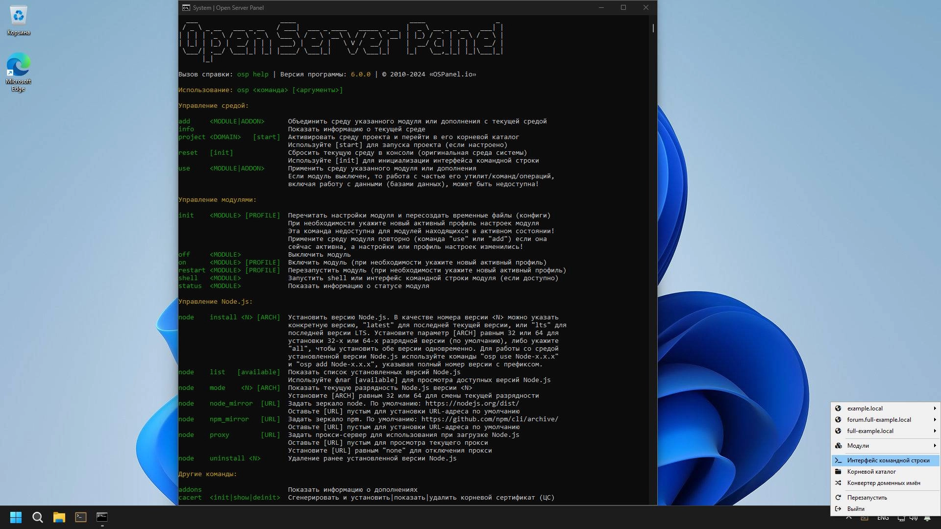 Aktivatsiya Open Server 6.0.0.webp