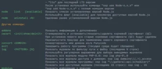 Aktivatsiya Open Server 6.2.6.webp