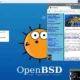 Aktivatsiya Openbsd 6.3 2xcd.webp