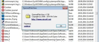 Aktivatsiya Openedfilesview 1.58 Portable.webp