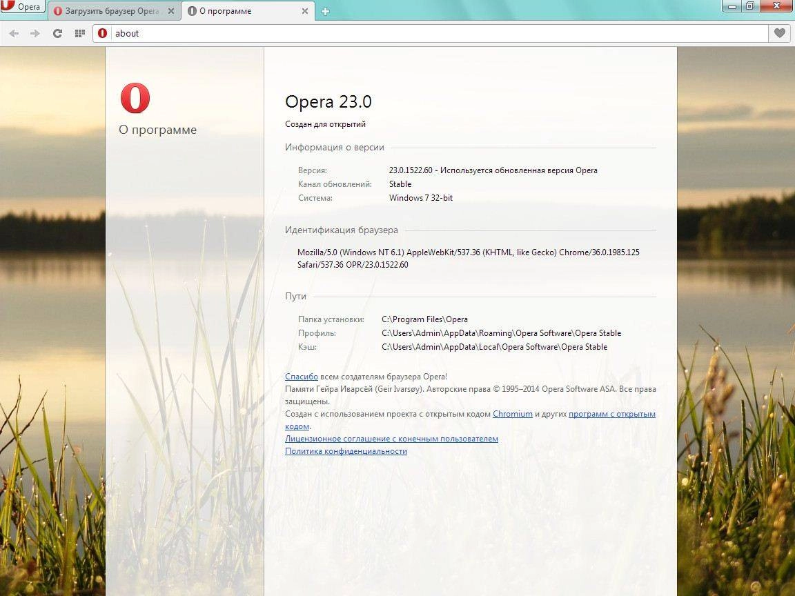 Aktivatsiya Opera 23.0.1522.60 Stable.webp