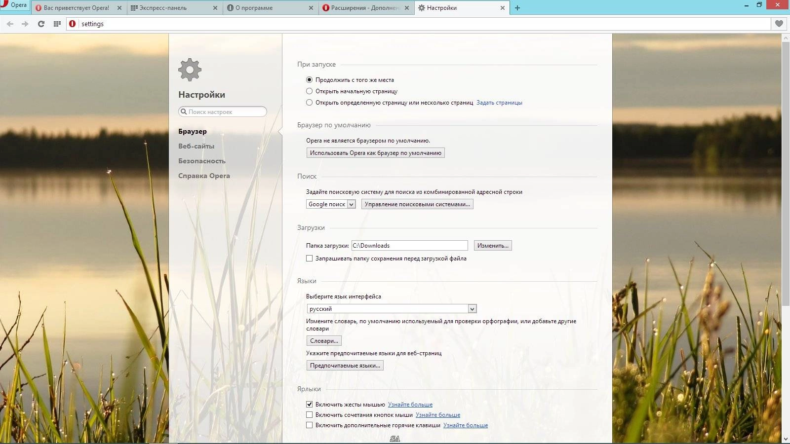 Aktivatsiya Opera 23.0.1522.77 Stable.webp