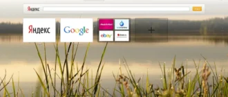 Aktivatsiya Opera 24.0.1558.61 Stable.webp