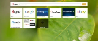 Aktivatsiya Opera 33.0.1990.58 Stable.webp