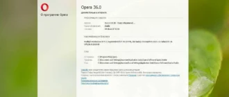 Aktivatsiya Opera 36.0.2130.80.webp
