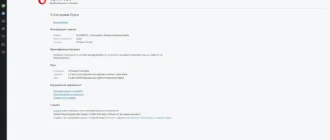 Aktivatsiya Opera 99.0.4788.77 Portable.webp