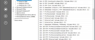 Aktivatsiya Pidkey Lite 1.64.4 B44 Portable By Ratiborus.webp