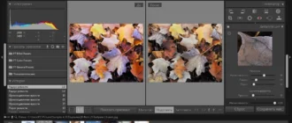 Aktivatsiya Pt Photo Editor Pro Edition 3.7 Repack By 78sergey Dinis124.webp
