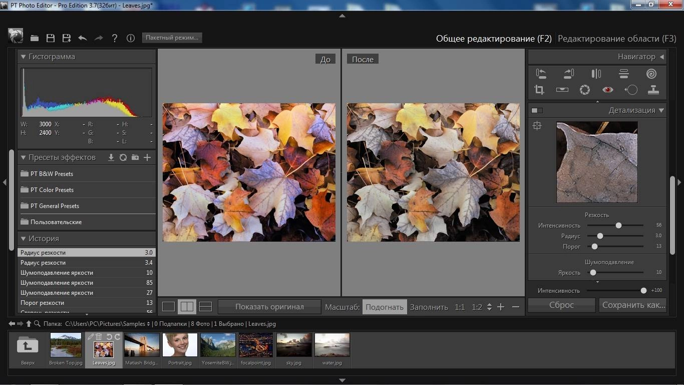 Aktivatsiya Pt Photo Editor Pro Edition 3.7 Repack By 78sergey Dinis124.webp