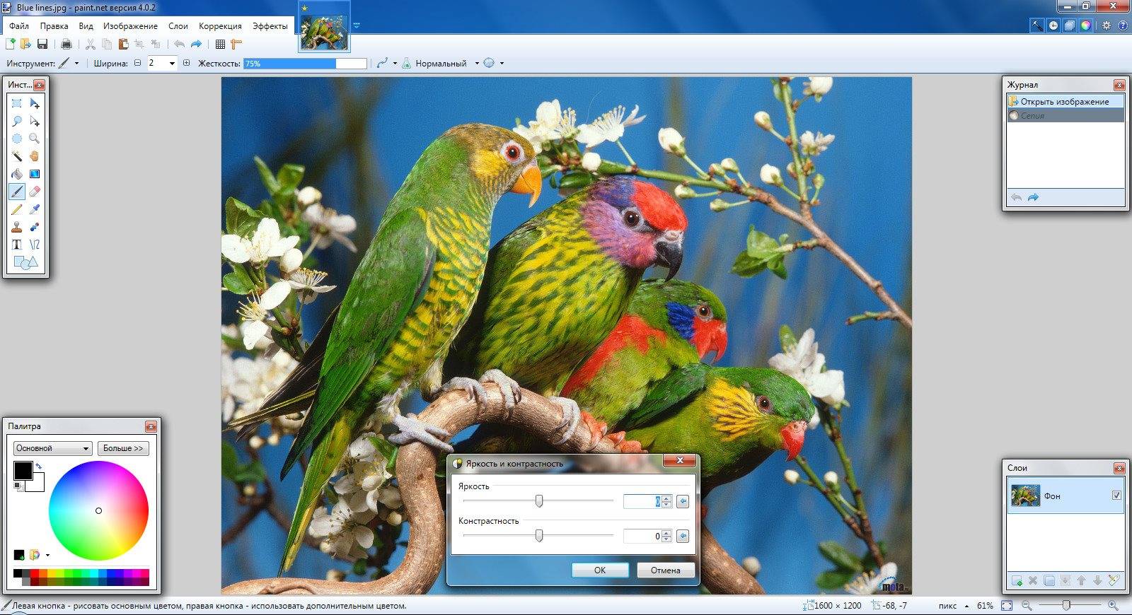 Aktivatsiya Paint.net 4.0.2 Final.jpg