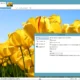 Aktivatsiya Paint.net 4.0.3 Final.webp