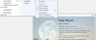 Aktivatsiya Pale Moon 25.7.0 Portable Tools.webp