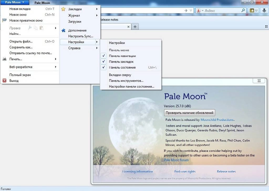 Aktivatsiya Pale Moon 25.7.0 Portable Tools.webp