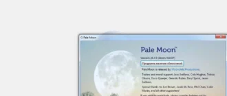 Aktivatsiya Pale Moon 25.7.0 Portable.webp