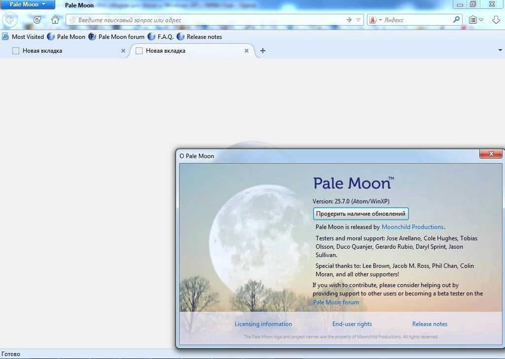 Aktivatsiya Pale Moon 25.7.0 Portable.webp