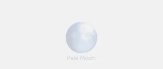 Aktivatsiya Pale Moon 25.7.2 Portable Tools.webp