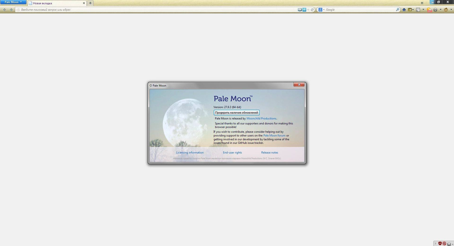 Aktivatsiya Pale Moon 28.7.2 Portable By Cento8.webp