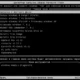 Aktivatsiya Paraavis Flash 7.0.webp