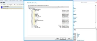 Aktivatsiya Paragon Hard Disk Manager 15 Business 10.1.25.772.webp