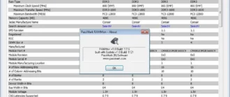 Aktivatsiya Passmark Rammon 1.1 Build 1001.webp