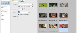 Aktivatsiya Pearlmountain Image Resizer Pro 1.4.2 Build 3019 Repack By Vovava.webp