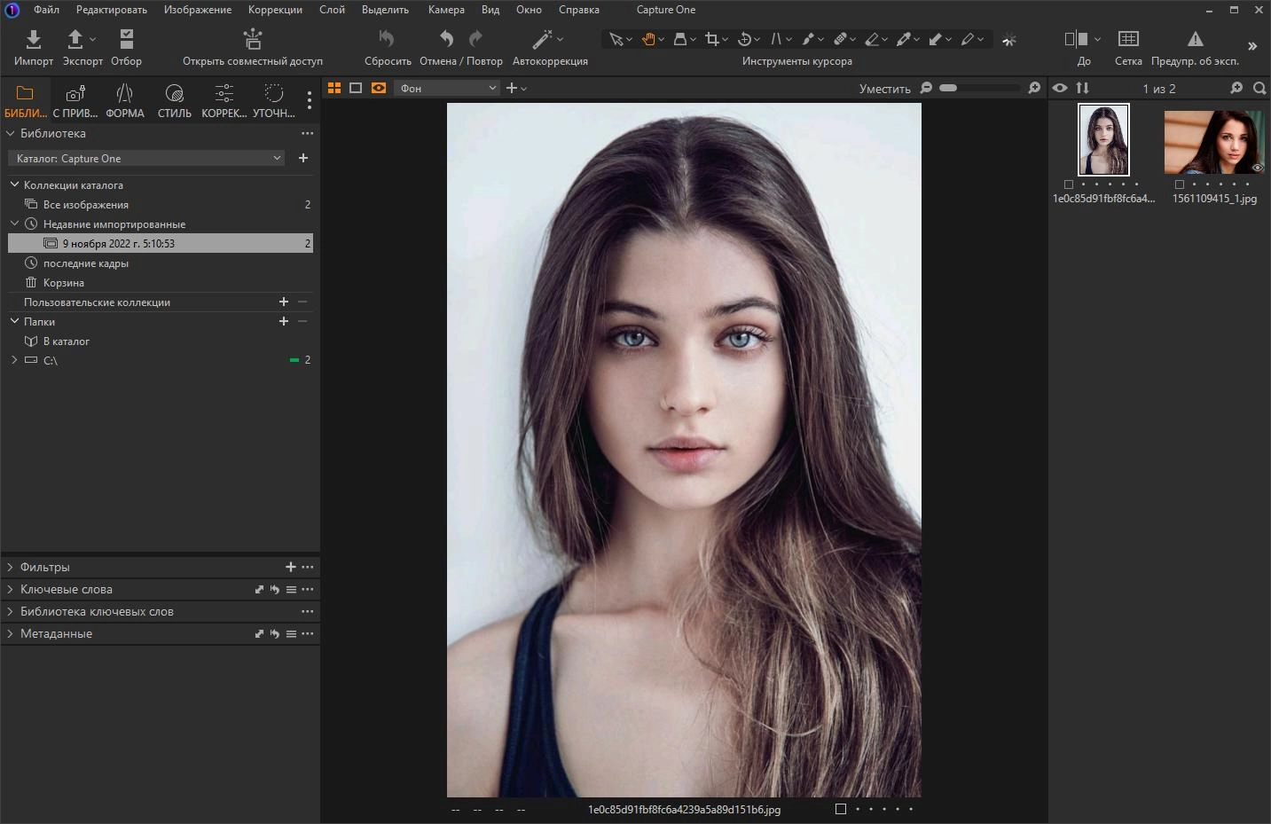 Aktivatsiya Phase One Capture One 23 Enterprise 16.5.9.2795 Repack By Kpojiuk.webp