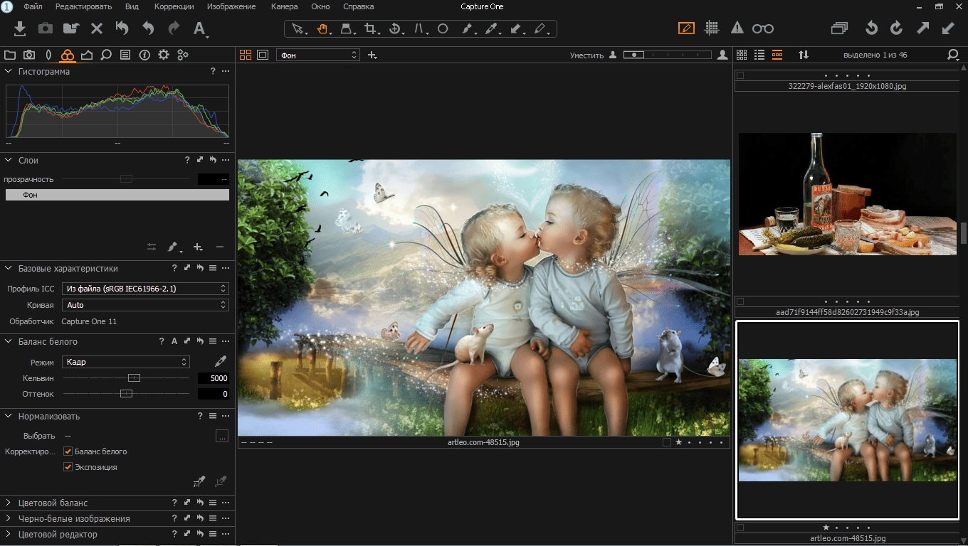 Aktivatsiya Phase One Capture One Pro 11.3.0.20.webp