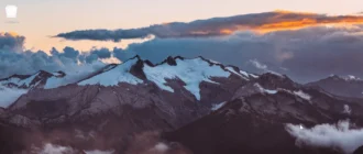 Aktivatsiya Phoenix Os 1.0.8 Rc 1xcd.webp