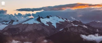 Aktivatsiya Phoenix Os 1.1.0 1xcd.webp