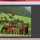 Aktivatsiya Photo Montage Guide 2.2.4 Repack By Trovel.jpg