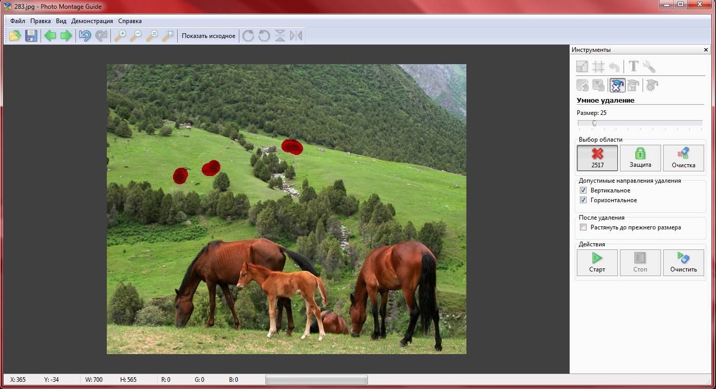 Aktivatsiya Photo Montage Guide 2.2.4 Repack By Trovel.jpg