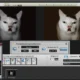Aktivatsiya Photoeq 1.2.0.0 Portable By Dinis124.webp