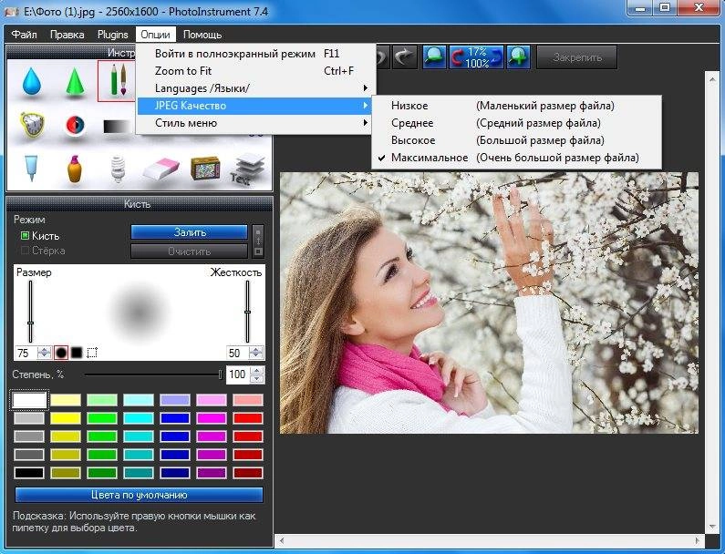 Aktivatsiya Photoinstrument 7.4 Build 834 Portable By Portableappc.webp
