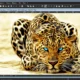 Aktivatsiya Photoline 23.53 Repack By Elchupacabra.webp