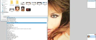 Aktivatsiya Plugins For Paint.net 15.9.2017.webp