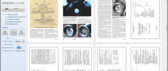 Aktivatsiya Poslednii Ment.webp