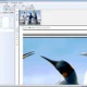 Aktivatsiya Posteriza 1.1.1 Portable.webp