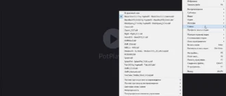 Aktivatsiya Potplayer 1.7.21091 Stable Repack By Kpojiuk.webp