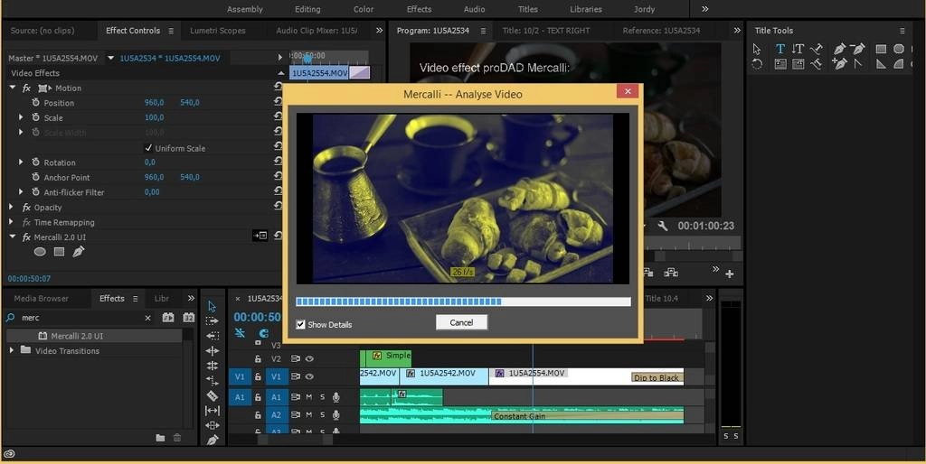 Aktivatsiya Prodad Mercalli V2 Plugin 2.0.126.1 Tech. R79.webp