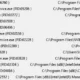Aktivatsiya Processko 3.88 Portable.webp
