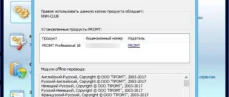 Aktivatsiya Promt 18 Professional.webp