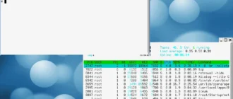 Aktivatsiya Puppyrus 15.10 1xminicd.webp