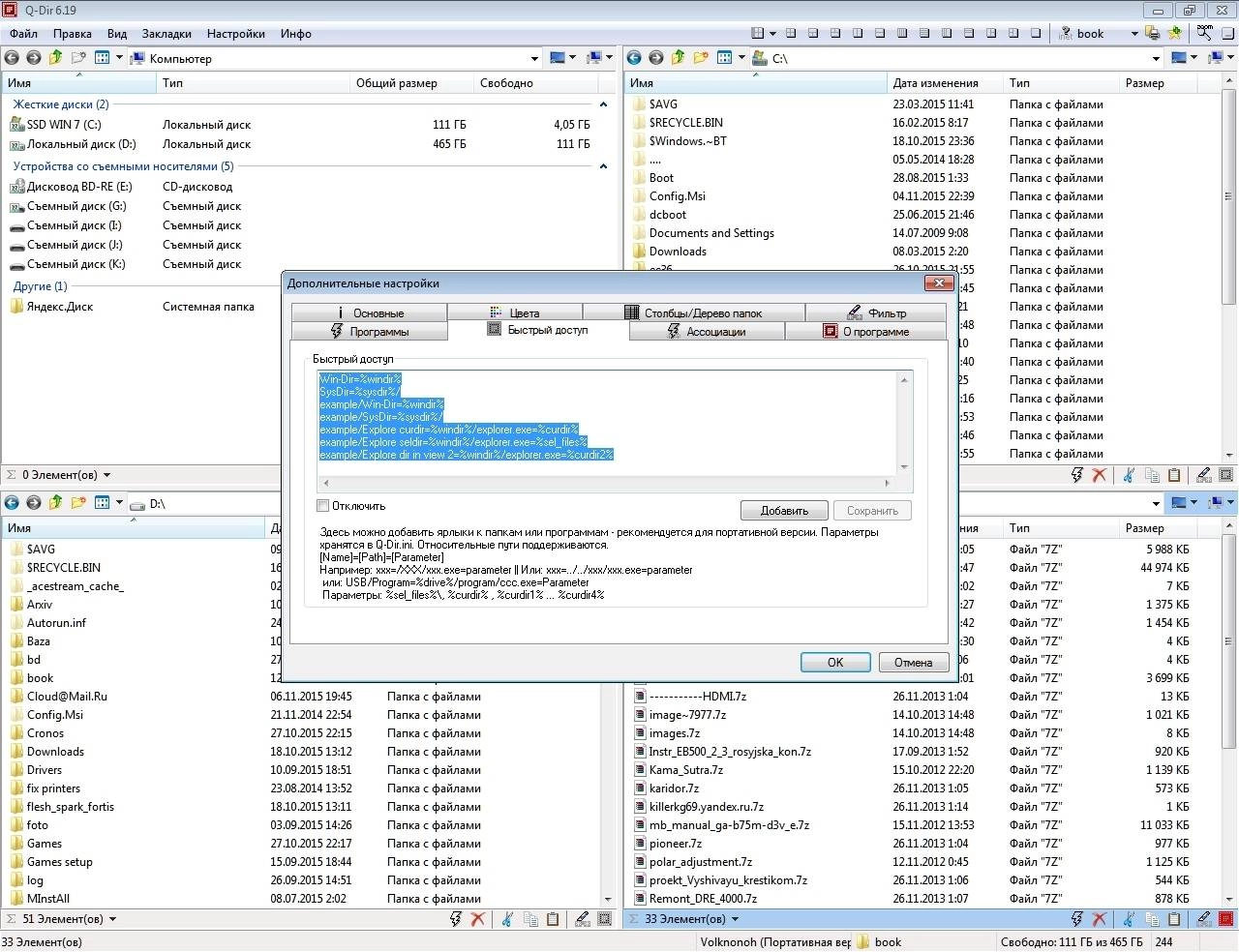 Aktivatsiya Q Dir 6.19 Portable.webp