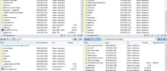 Aktivatsiya Q Dir 6.23 Portable.webp